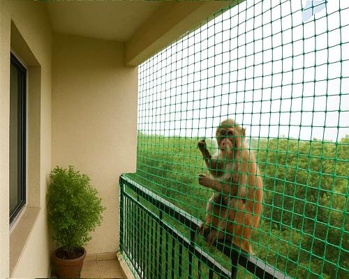 Monkey Safety Nets